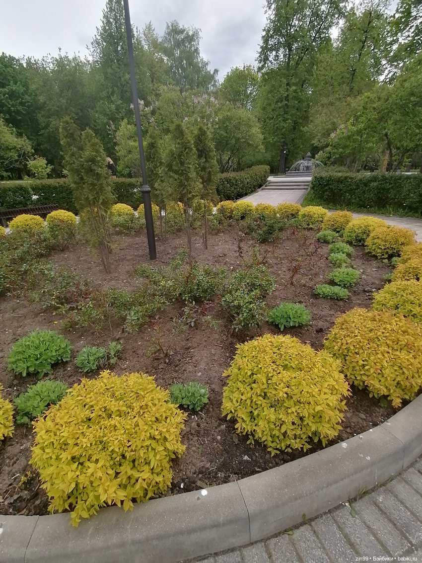 Возвращение Фейсинки Сюзи