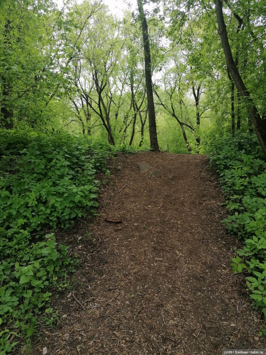 Возвращение Фейсинки Сюзи