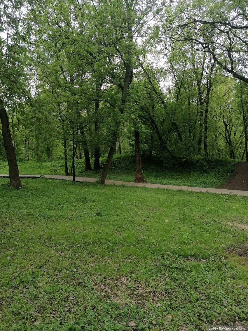 Возвращение Фейсинки Сюзи