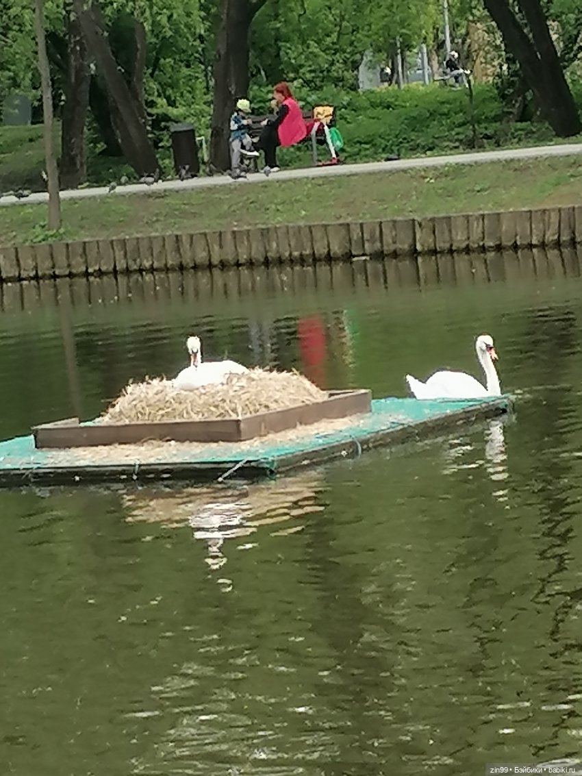 Возвращение Фейсинки Сюзи