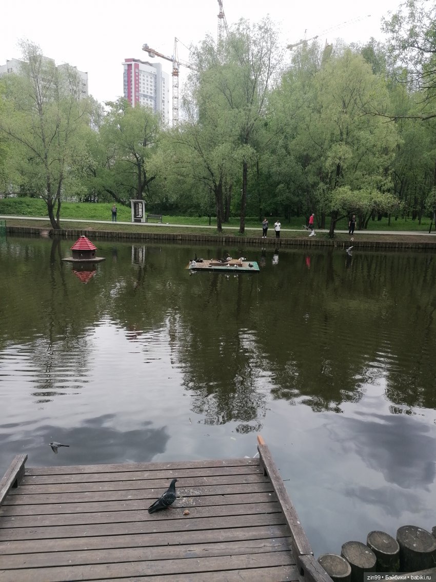 Возвращение Фейсинки Сюзи