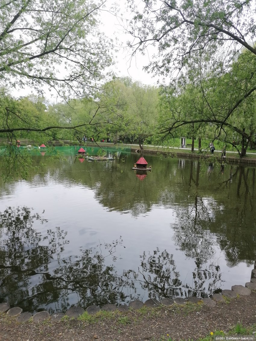 Возвращение Фейсинки Сюзи