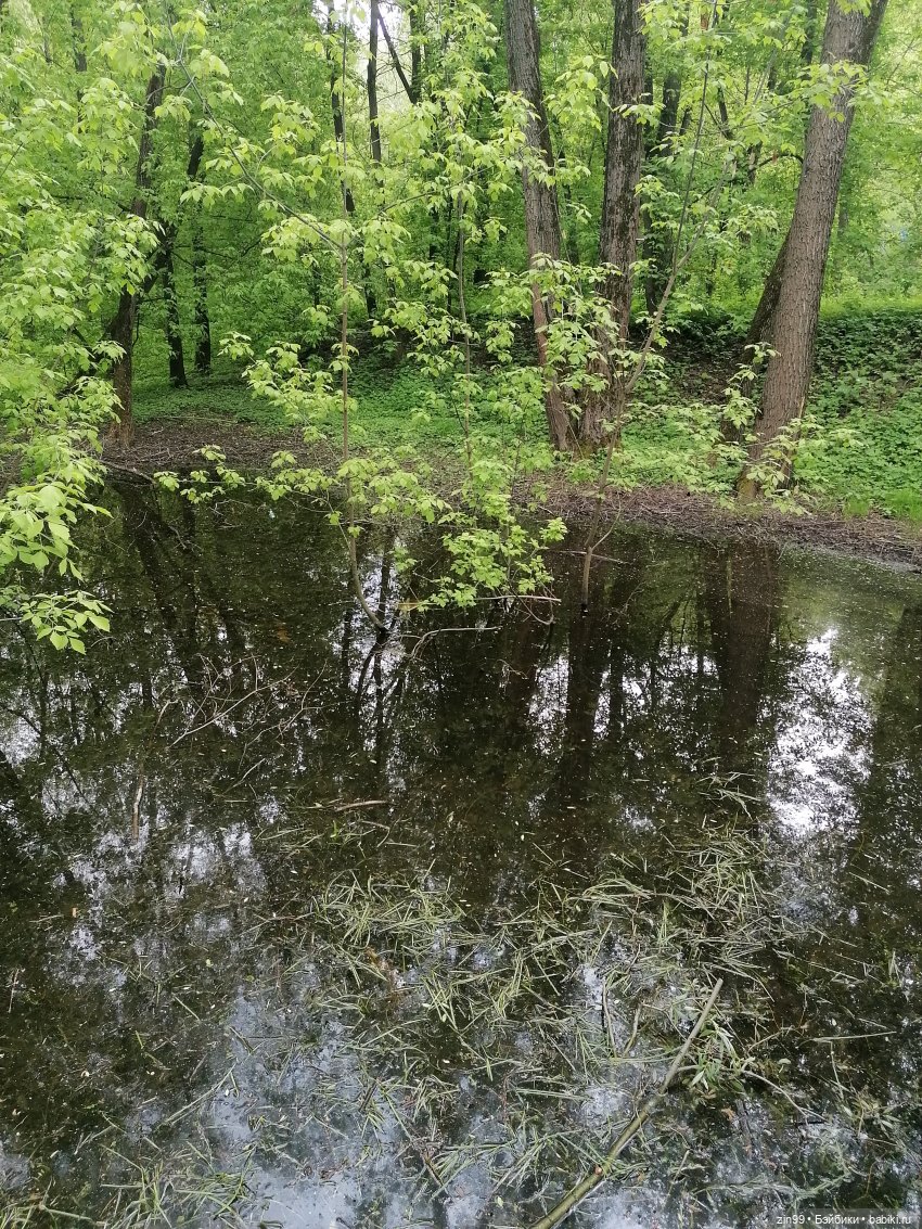 Возвращение Фейсинки Сюзи