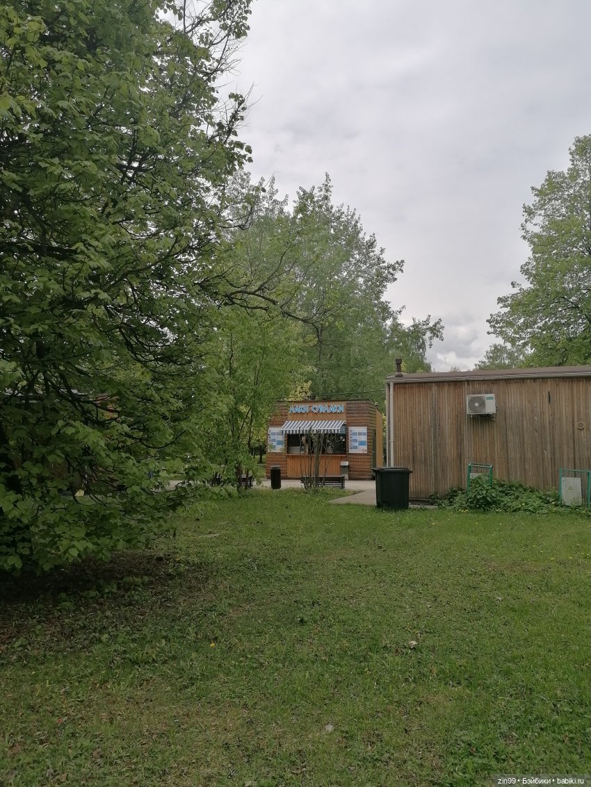 Возвращение Фейсинки Сюзи