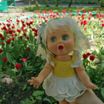 Возвращение Фейсинки Сюзи