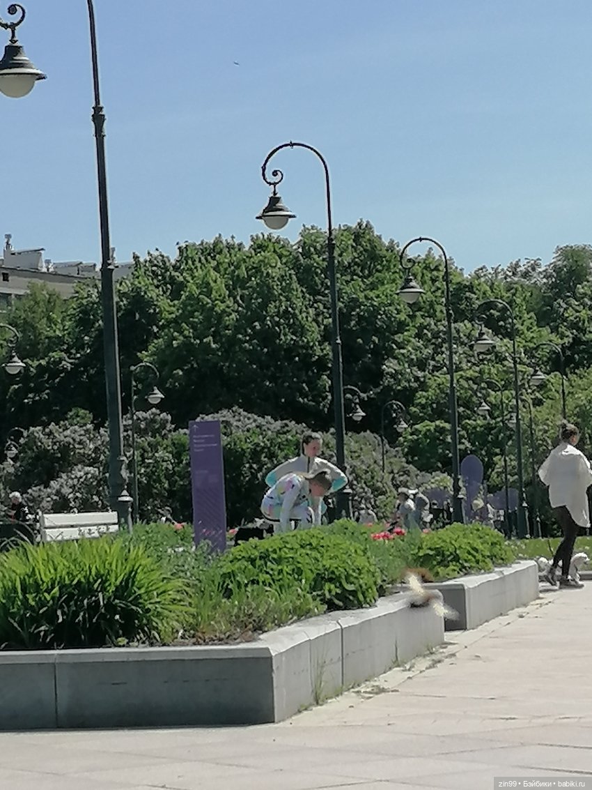 Сиреневый сад с куклой Луизой (фото 2)