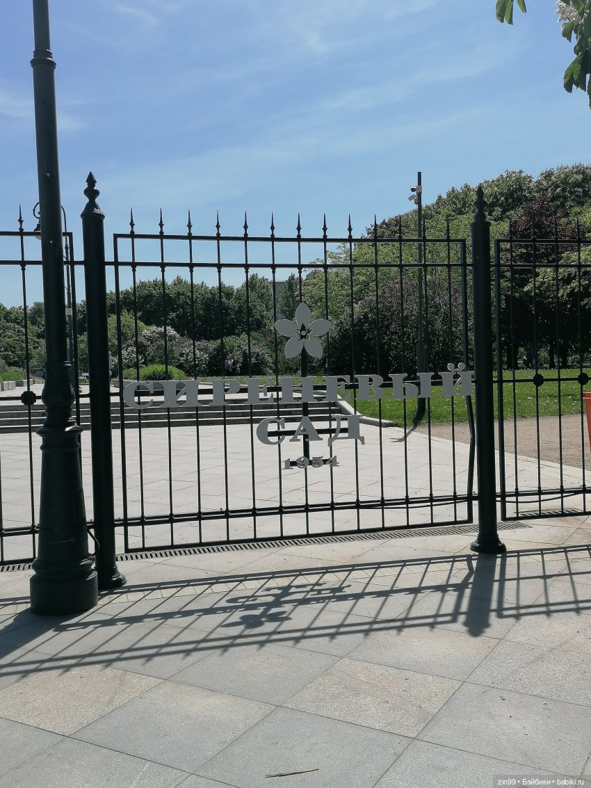 Сиреневый сад с куклой Луизой