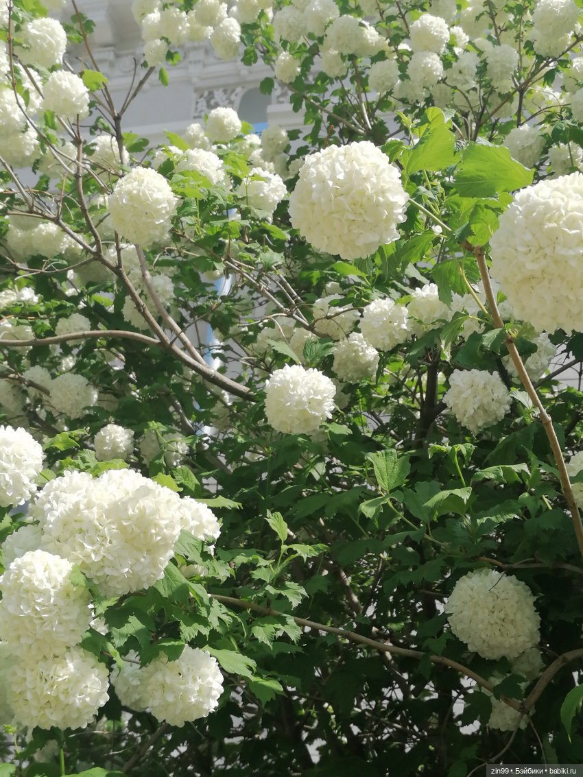 Прогулка по ВДНХ | Бэйбики Прогулка по ВДНХ — Куклы Rainbow High (Рейнбоу Хай