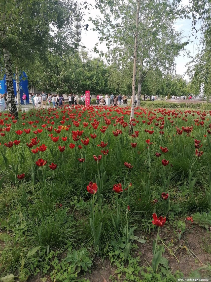 Прогулка по ВДНХ | Бэйбики Прогулка по ВДНХ — Куклы Rainbow High (Рейнбоу Хай (фото 4)