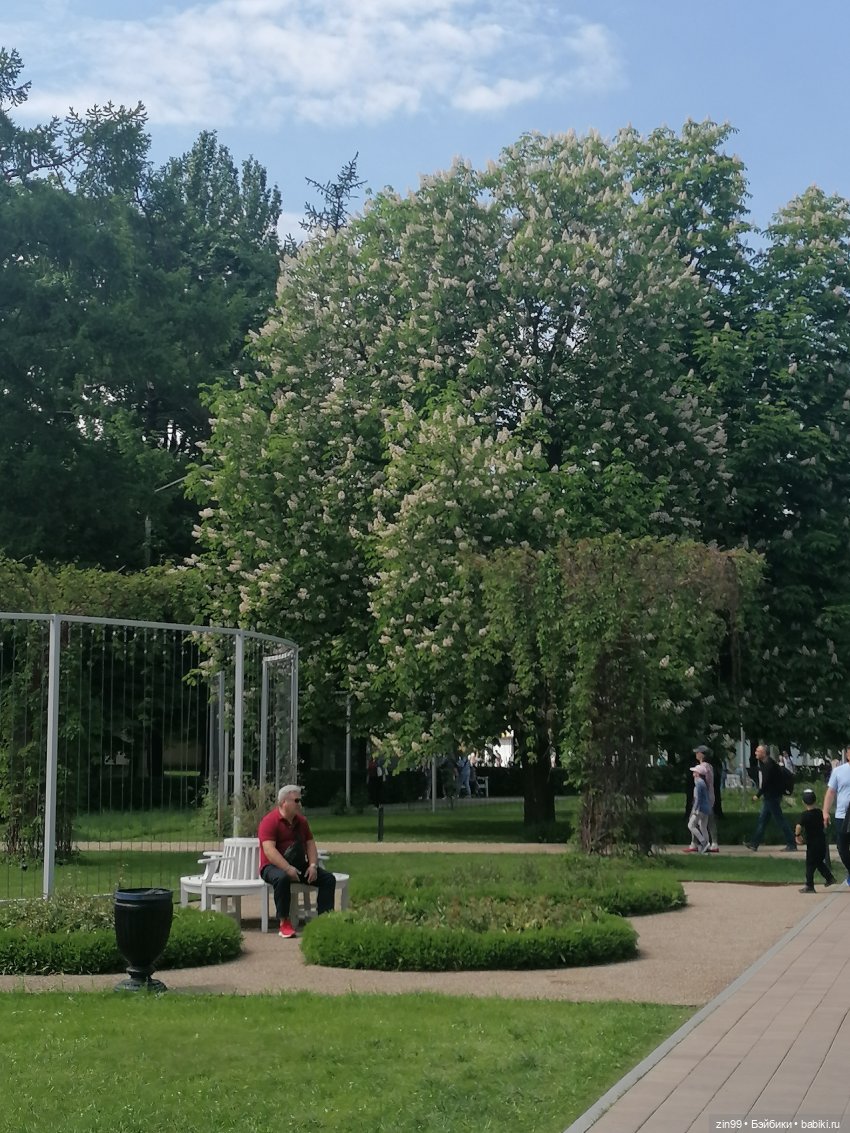 Прогулка по ВДНХ | Бэйбики Прогулка по ВДНХ — Куклы Rainbow High (Рейнбоу Хай