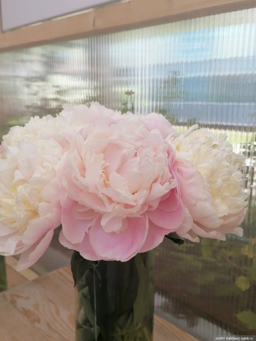 Выставка цветов на ВДНХ — Куклы Rainbow High (Рейнбоу Хай