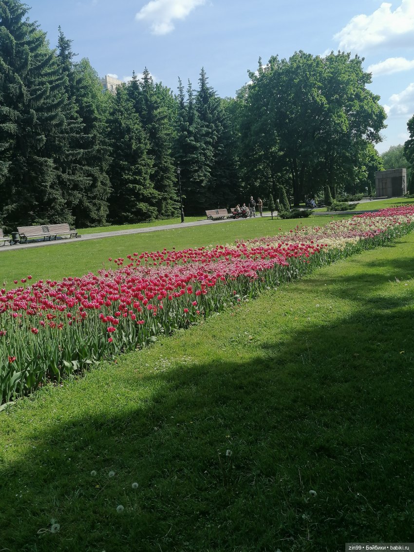 Выставка цветов на ВДНХ — Куклы Rainbow High (Рейнбоу Хай