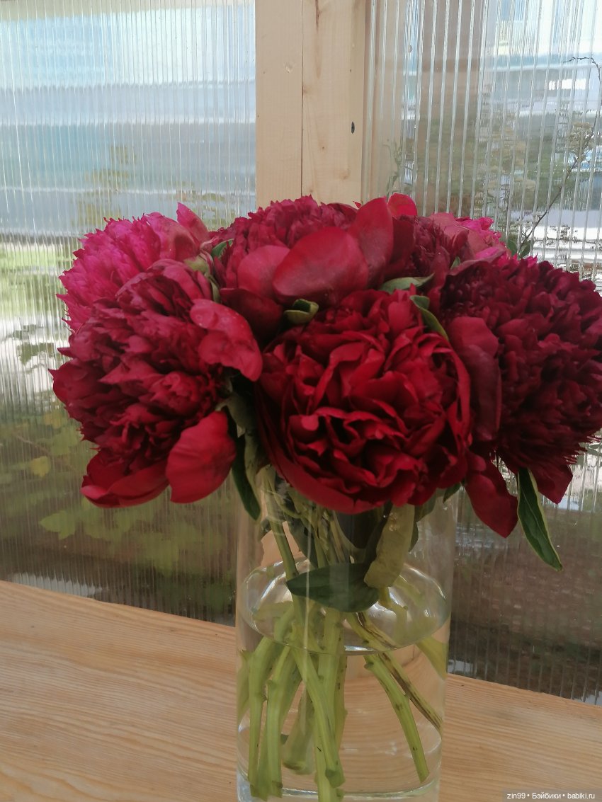 Выставка цветов на ВДНХ — Куклы Rainbow High (Рейнбоу Хай