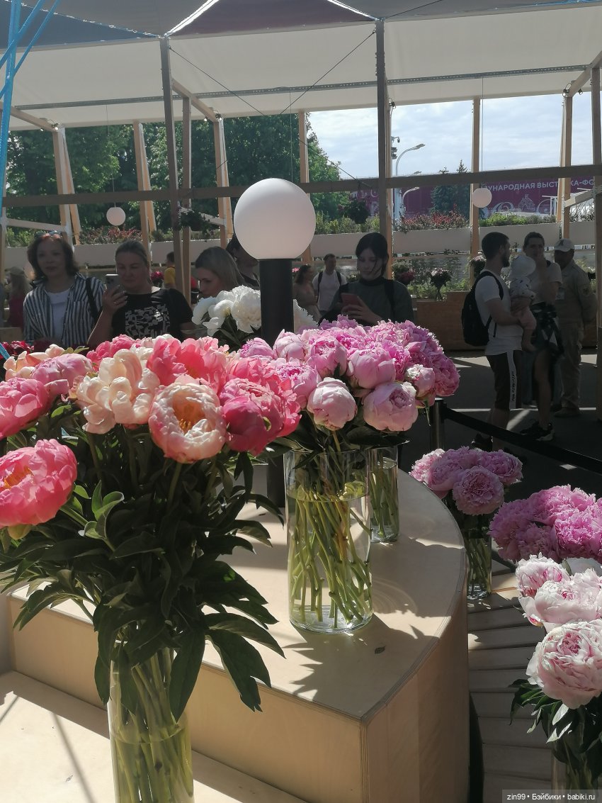 Выставка цветов на ВДНХ — Куклы Rainbow High (Рейнбоу Хай