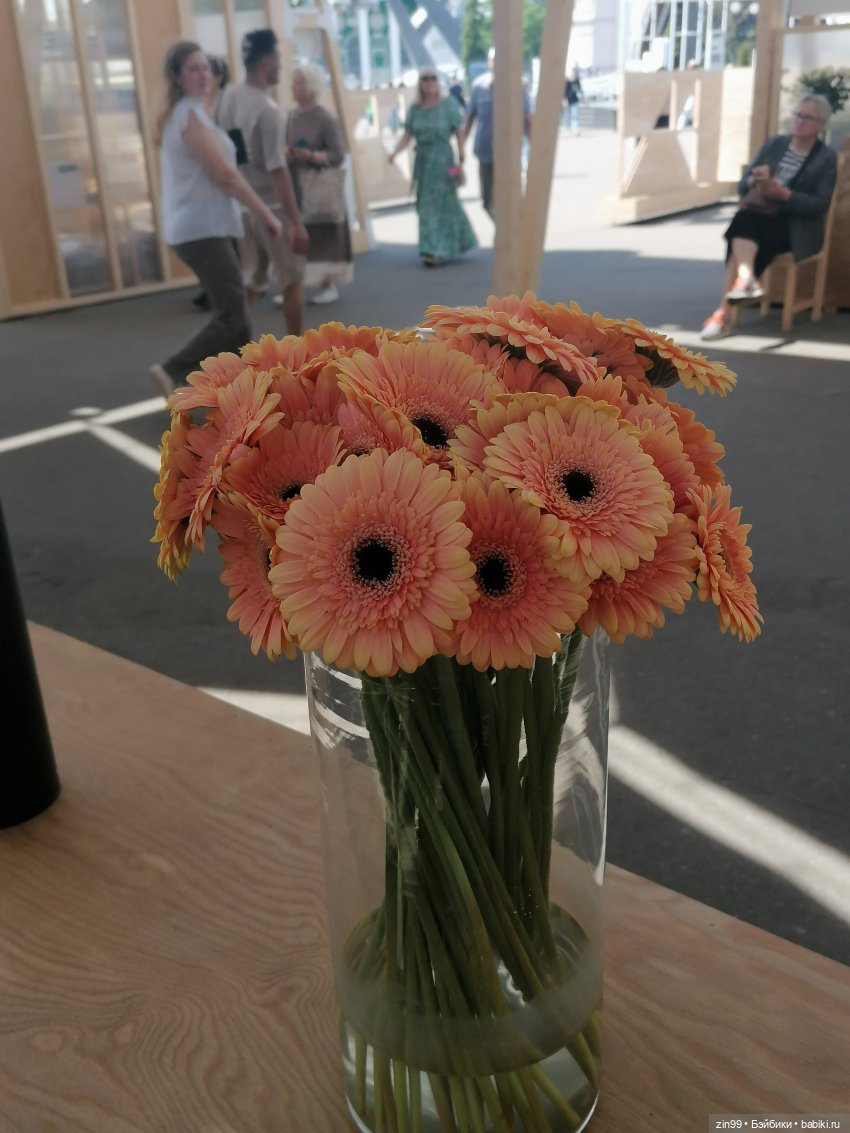 Выставка цветов на ВДНХ — Куклы Rainbow High (Рейнбоу Хай