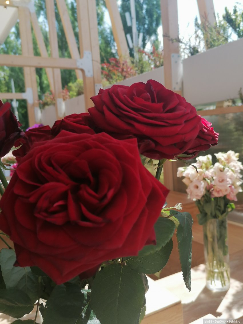 Выставка цветов на ВДНХ — Куклы Rainbow High (Рейнбоу Хай