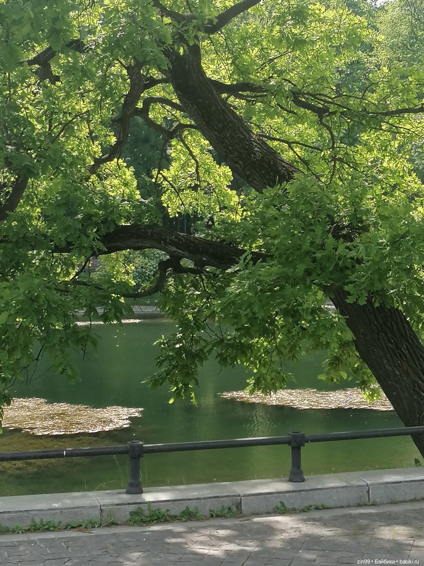 Выставка цветов на ВДНХ — Куклы Rainbow High (Рейнбоу Хай