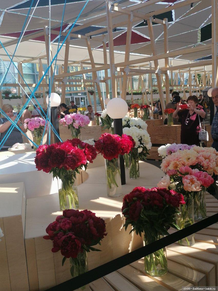 Выставка цветов на ВДНХ — Куклы Rainbow High (Рейнбоу Хай