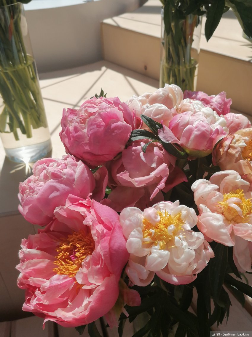 Выставка цветов на ВДНХ — Куклы Rainbow High (Рейнбоу Хай