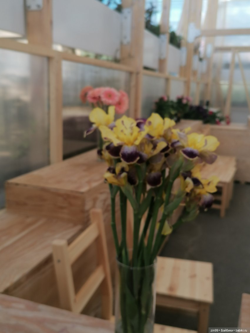 Выставка цветов на ВДНХ — Куклы Rainbow High (Рейнбоу Хай