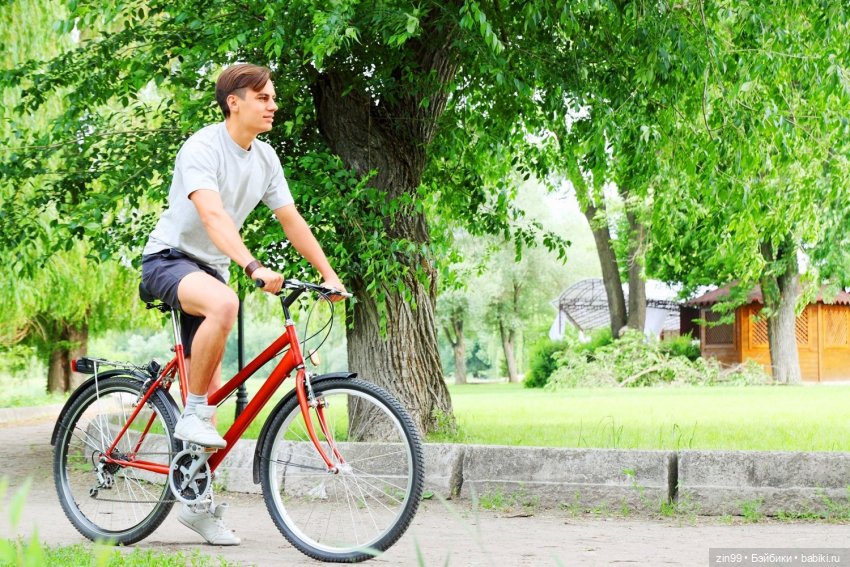 Всемирный день велосипедиста | Бэйбики Всемирный день велосипедиста (фото 4)