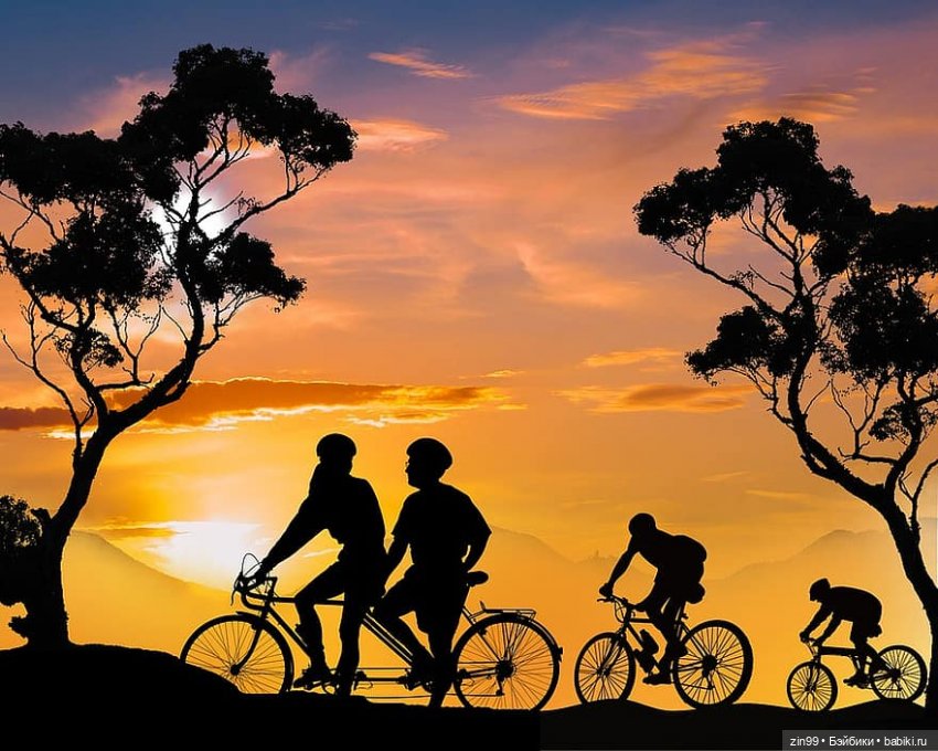 Всемирный день велосипедиста | Бэйбики Всемирный день велосипедиста (фото 2)