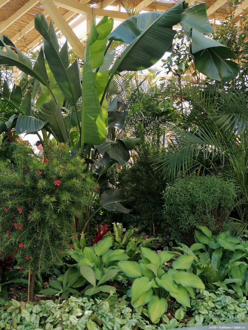 Рыбная неделя в Москве была