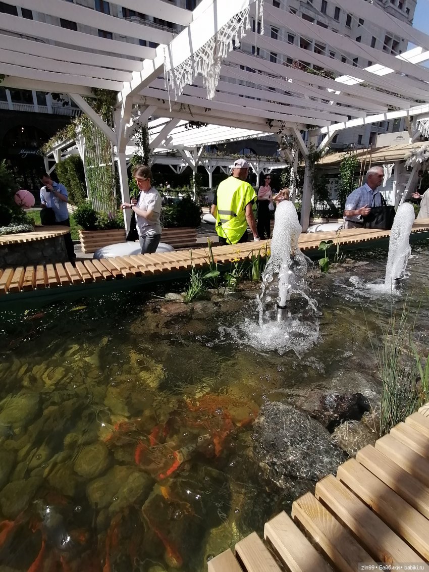 Рыбная неделя в Москве была