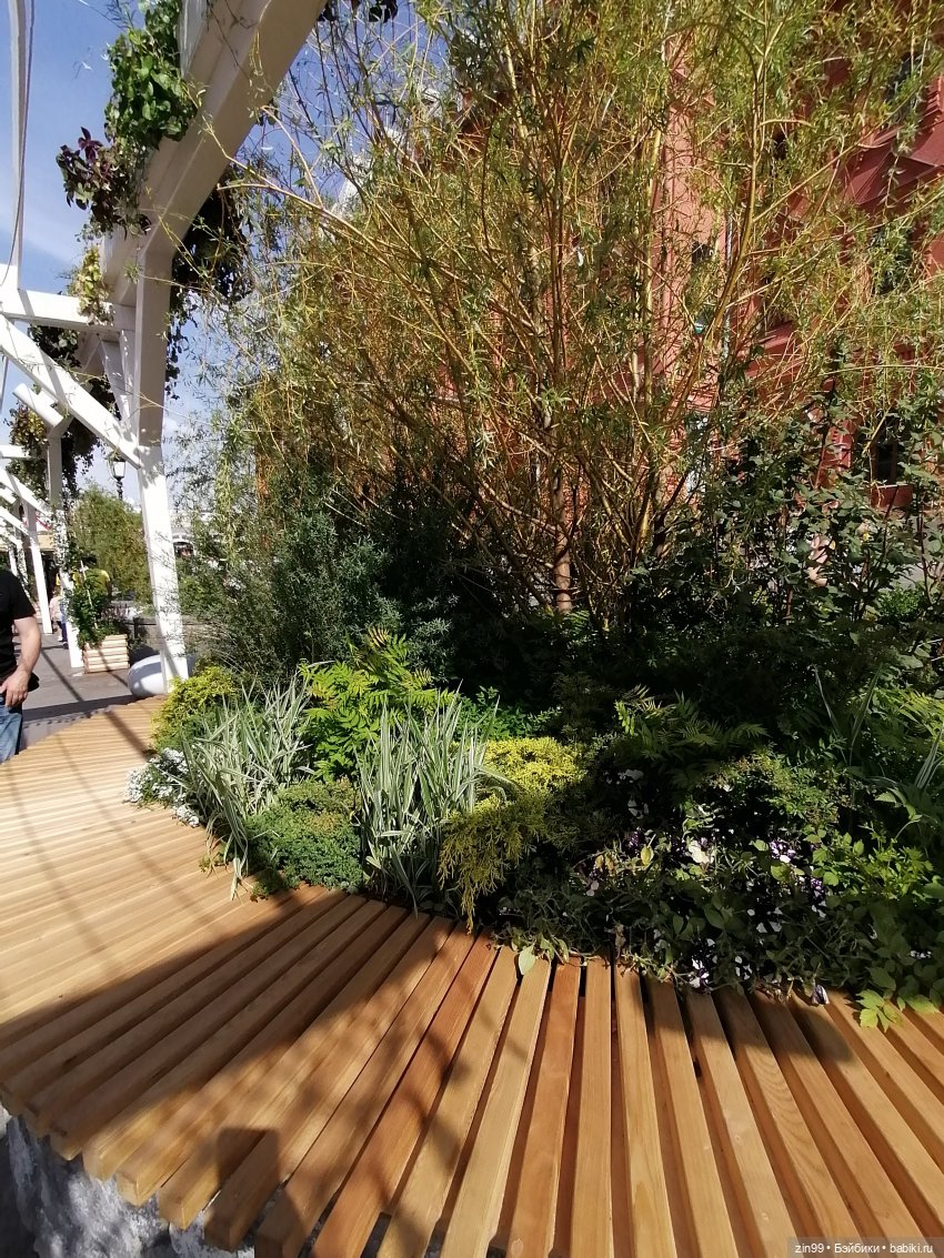 Рыбная неделя в Москве была