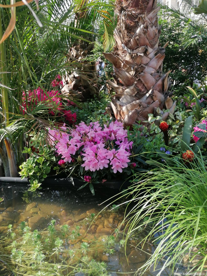 Рыбная неделя в Москве была