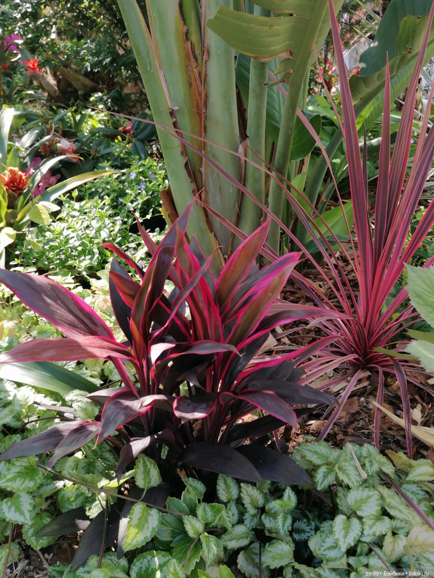 Рыбная неделя в Москве была