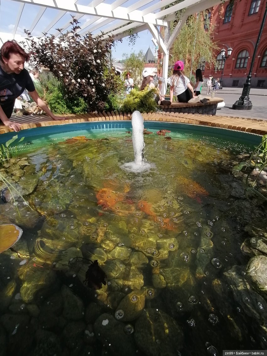 Рыбная неделя в Москве была