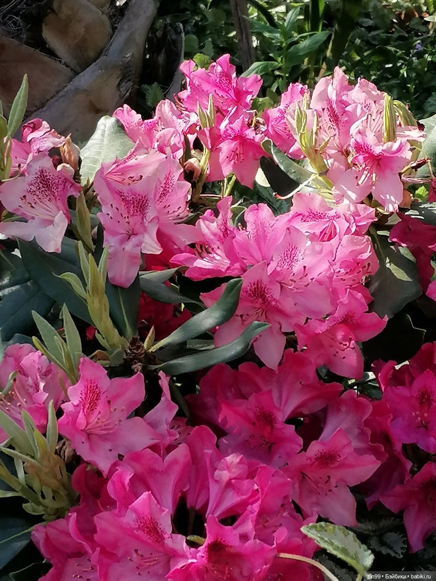 Рыбная неделя в Москве была