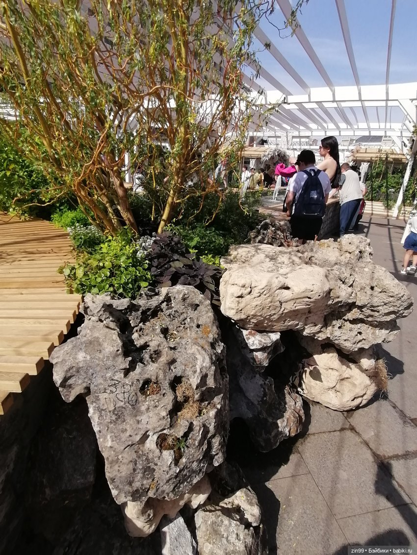 Рыбная неделя в Москве была