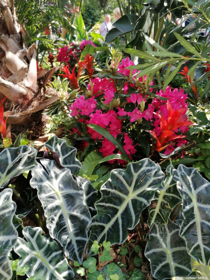 Рыбная неделя в Москве была