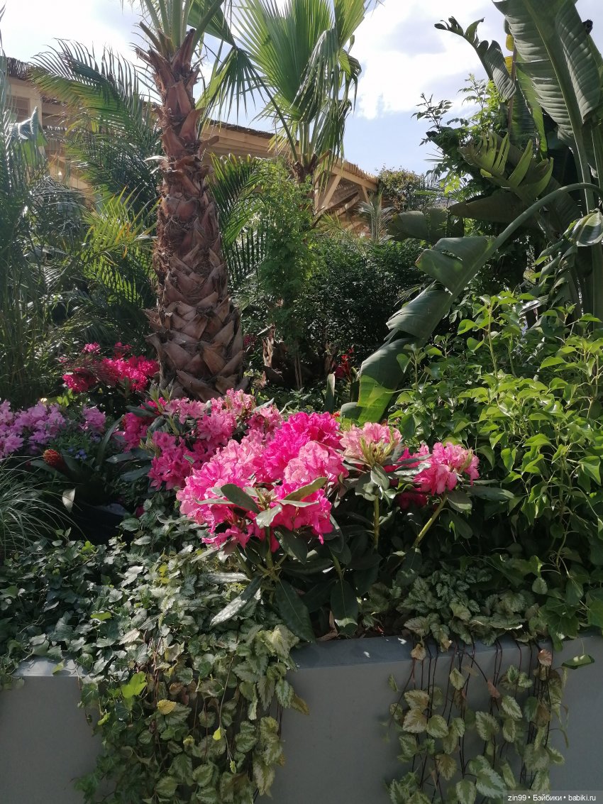 Рыбная неделя в Москве была