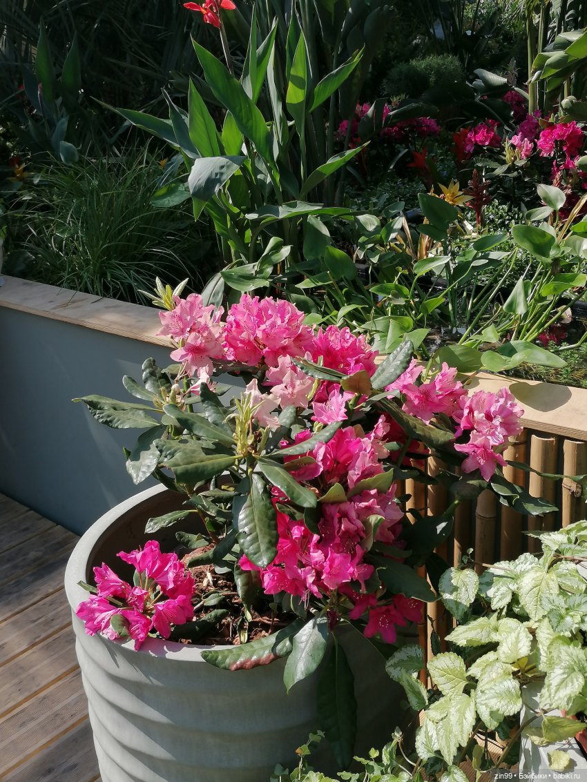 Рыбная неделя в Москве была