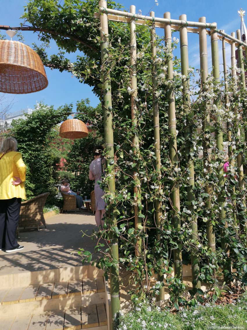 Рыбная неделя в Москве была