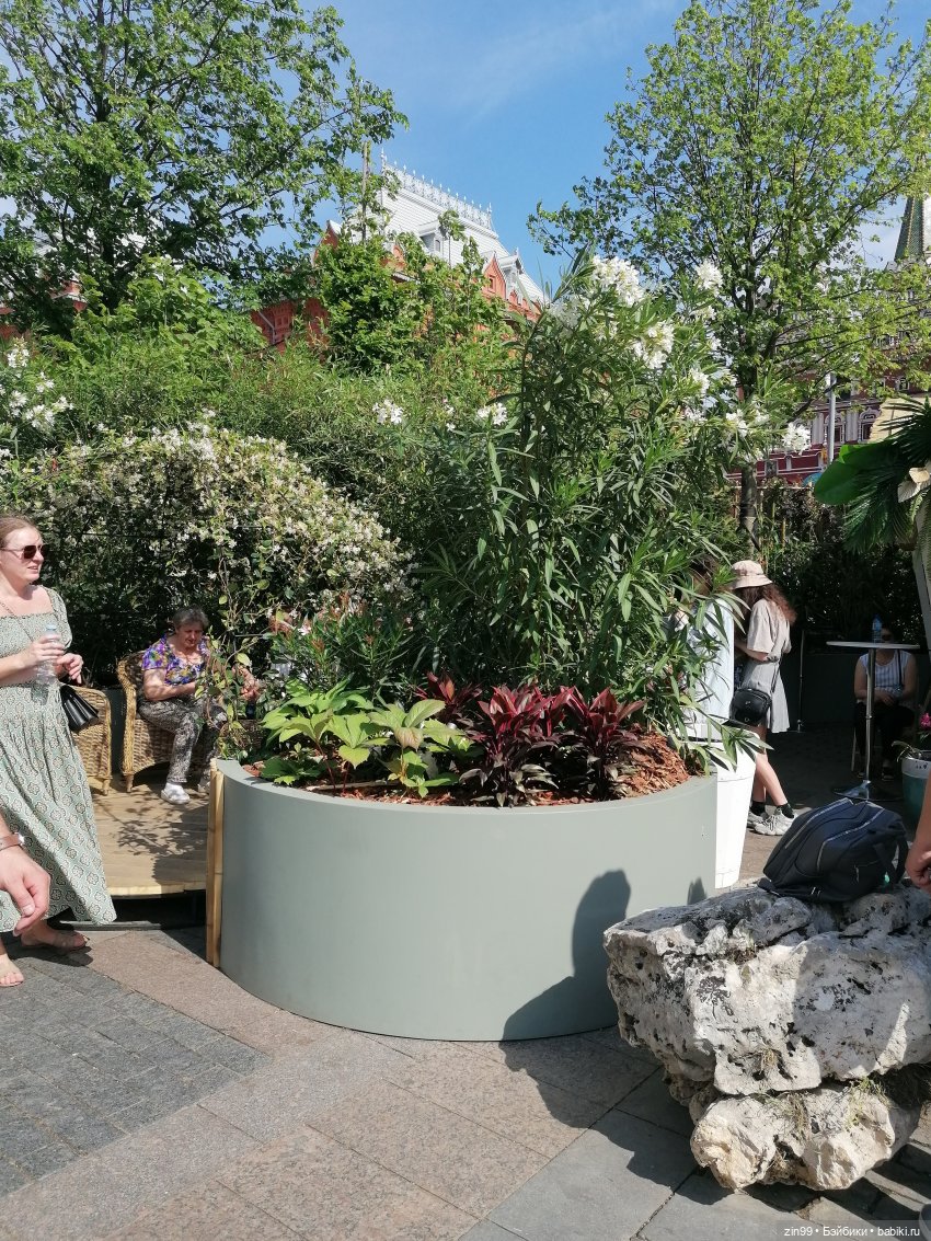 Рыбная неделя в Москве была