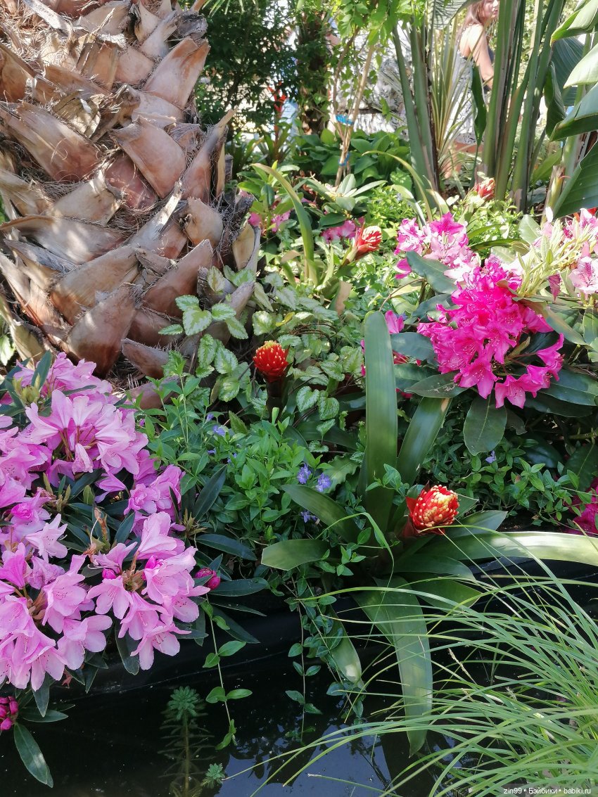 Рыбная неделя в Москве была