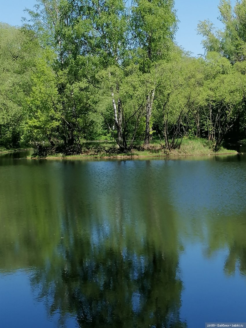 Прогулка с куклами Kidz'n'Cats (фото 4)