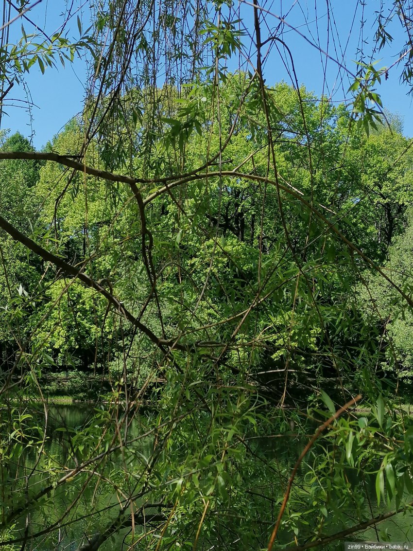 Прогулка с куклами Kidz'n'Cats