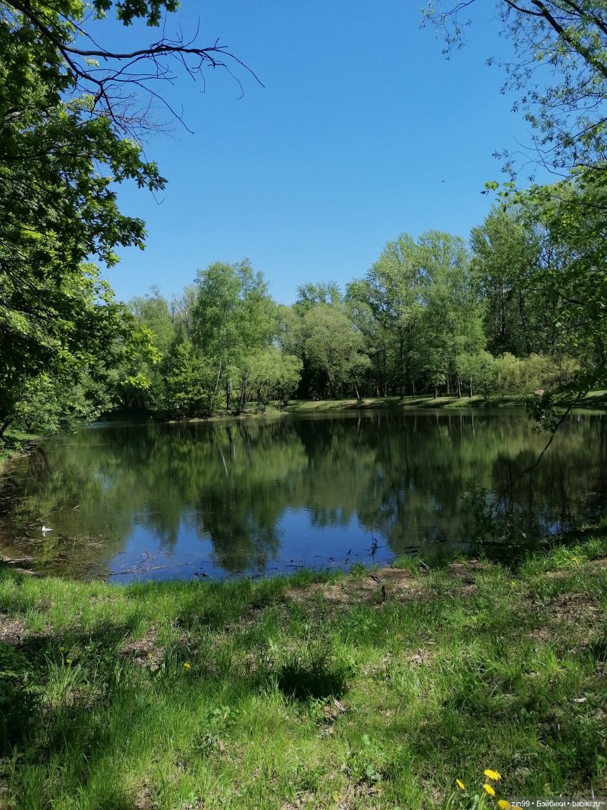 Прогулка с куклами Kidz'n'Cats