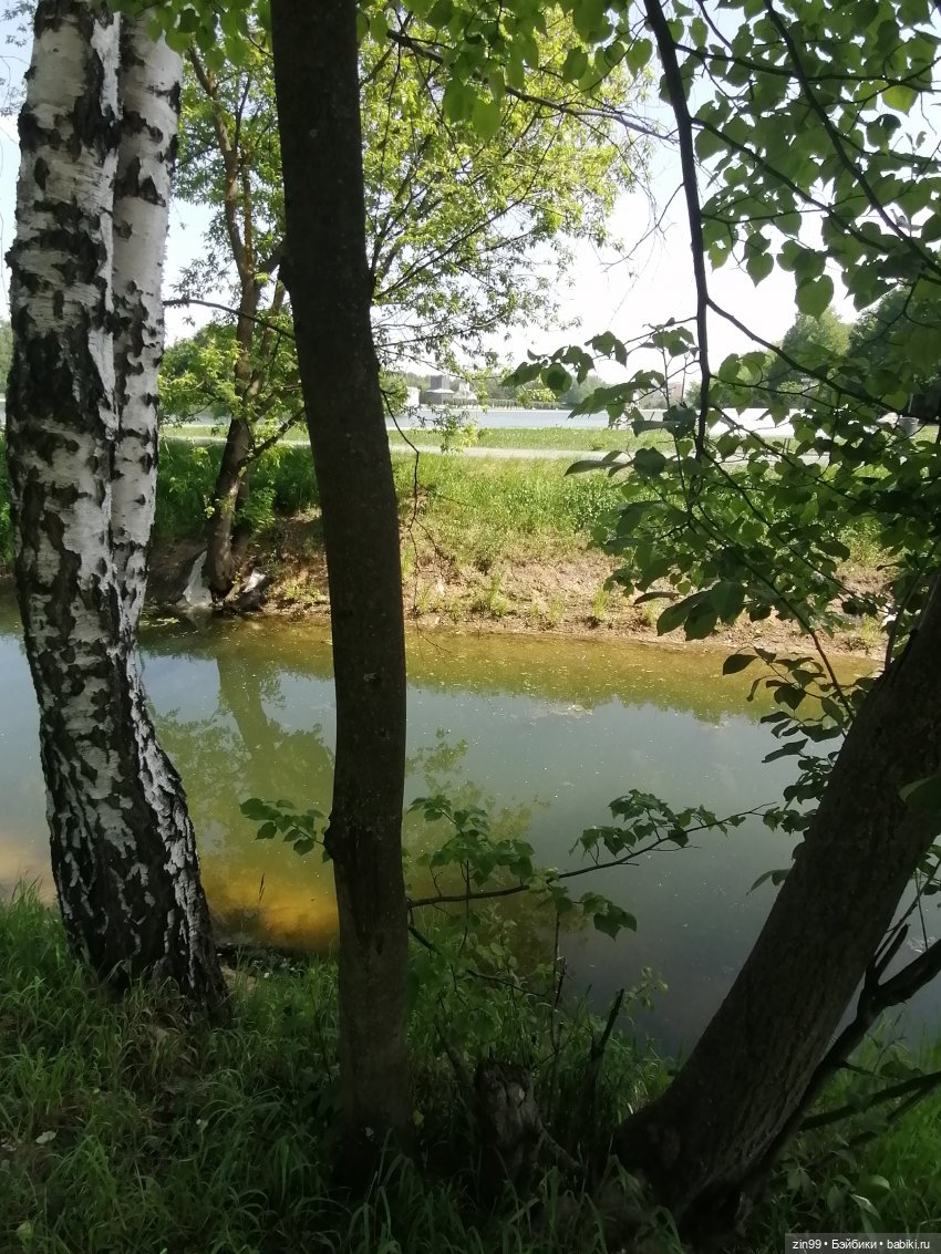 Прогулка с куклами Kidz'n'Cats