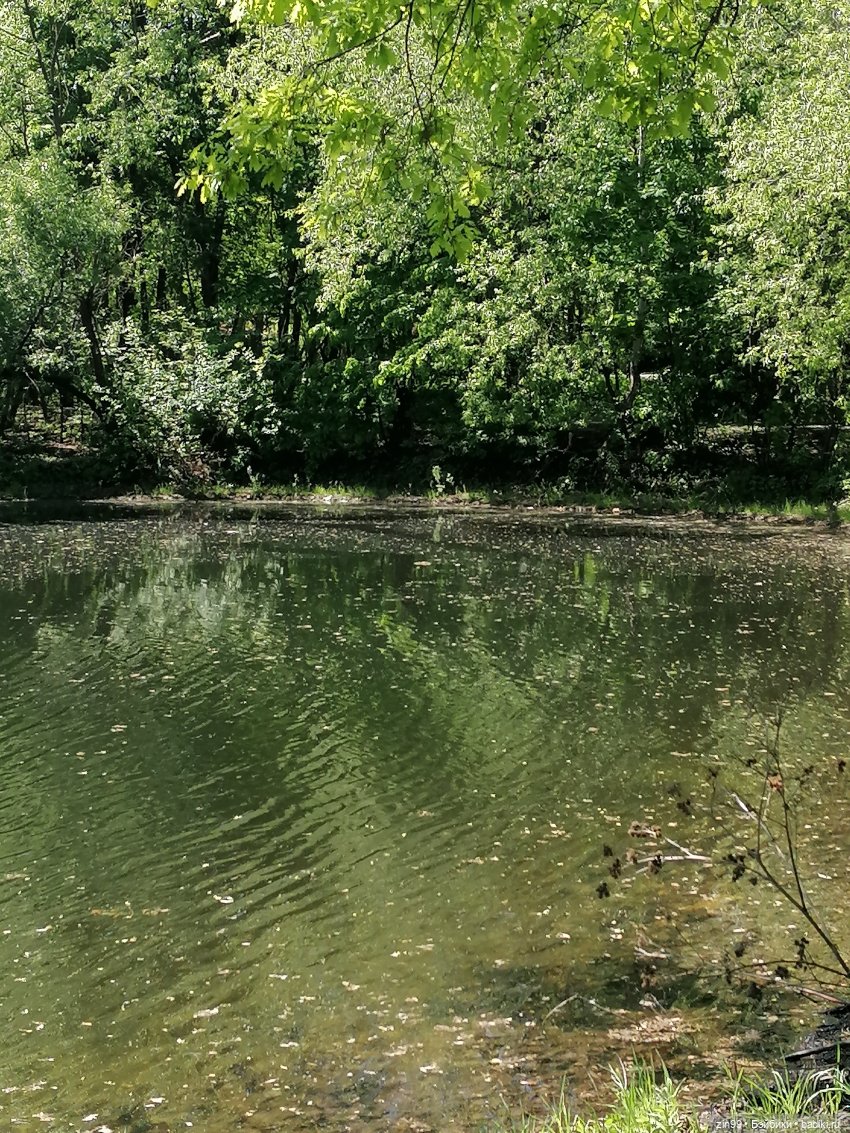 Прогулка с куклами Kidz'n'Cats (фото 3)