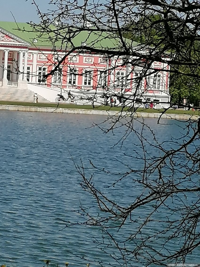 Прогулка с куклами Kidz'n'Cats