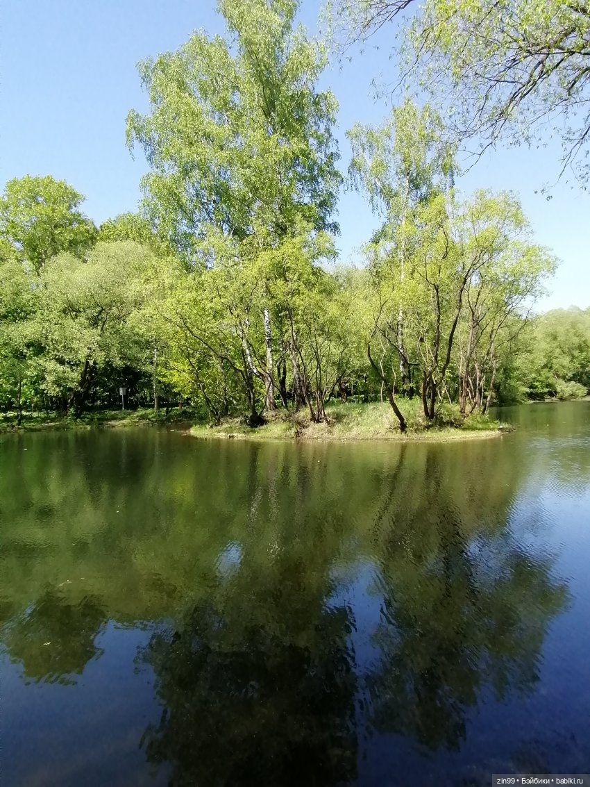 Прогулка с куклами Kidz'n'Cats (фото 9)