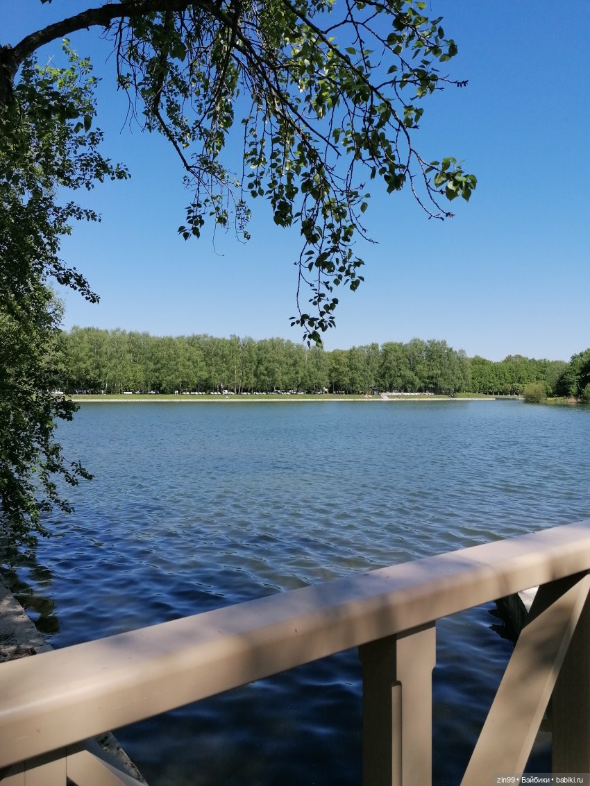 Прогулка с куклами Kidz'n'Cats