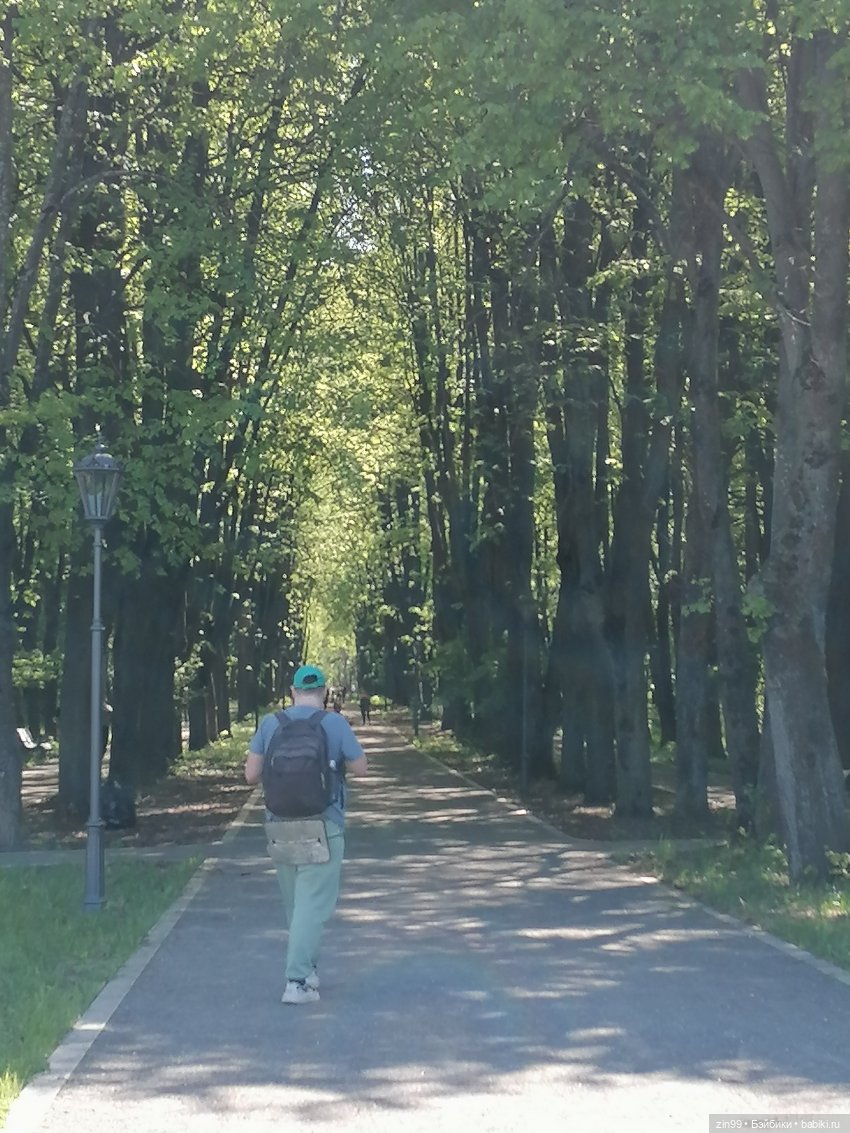 Прогулка с куклами Kidz'n'Cats