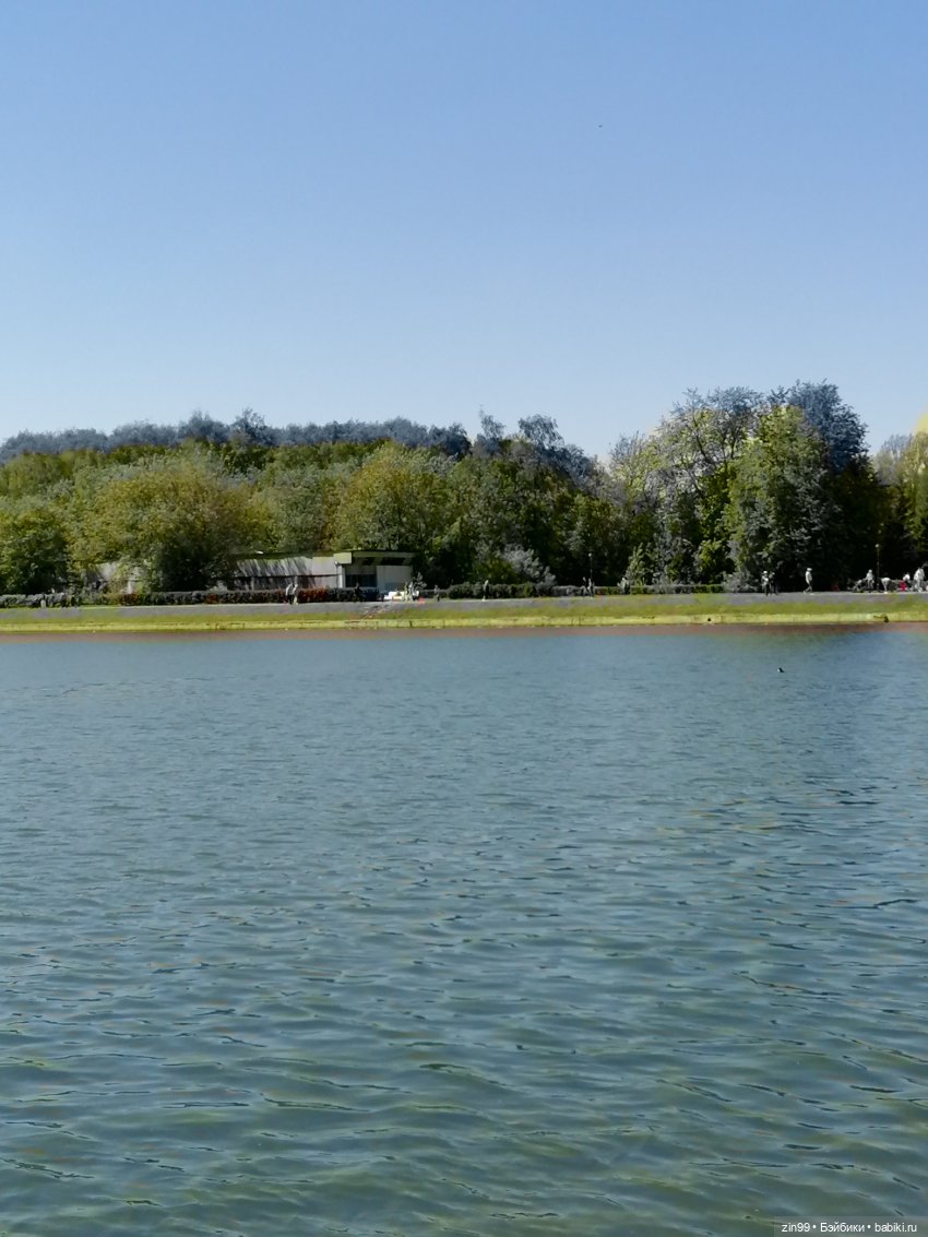 Прогулка с куклами Kidz'n'Cats